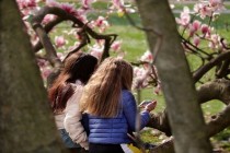 以向保险公司领导售烟酒为幌女子骗多家烟酒行160万货物