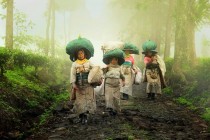 华泰财险荣获“2015年度最佳公司治理财险公司”