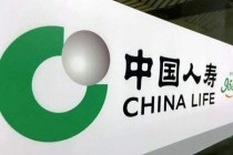 中国人寿个险三十年：巩固行业头雁地位，靠的是时间、定力与体系化支持