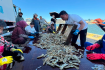 护航开海“第一鲜”，国寿筑牢海上人身安全防线